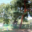 대농리마을회관 이미지