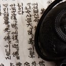 고래한방병원 판암 네이버블로그