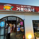거북이동네외동