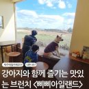[제주 제주시] 제주 애월 브런치 카페 내돈내산 후기 I 삐삐아일랜드
