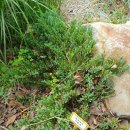 임마누엘피부과의원 이미지