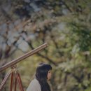 아이(I) 이미지