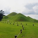 다라국황금이야기길 이미지