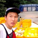 길거리농부 이미지