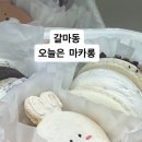 갈마동 오늘은 마카롱 가 본 사람~~