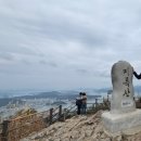 늘푸른카클리닉 | 11월 통영여행 2박3일 코스 📍 필수 코스 정리_케이블카, 루지, 욕지도, 고등어회, 오미사꿀빵