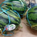 처인구청직장어린이집 이미지