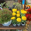 온고이지신 이미지