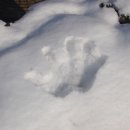 천사의 손 이미지