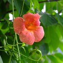 정천농장 이미지