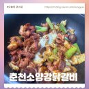 맛있고 신선한 닭갈비 밀키트 춘천소양강닭갈비