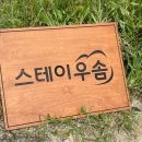 스테이우솜 이미지