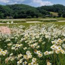 자전거터미널 이미지