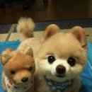 다이어트 PT 헬스 이미지