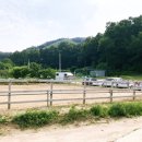 주식회사 월드승마학교 이미지