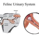 도래울로 이미지