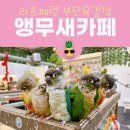 리프패럿부천 | 부천 아이랑 갈만한 곳! 앵무새카페 <리프패럿>방문후기