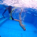 샘아쿠아라인 이미지