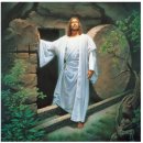 clean&farm | 사랑과 외눈박이 케이크