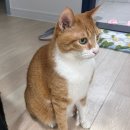 성림수산 이미지