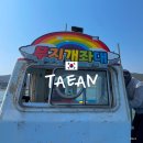 무지개마트 | 태안 좌대낚시 숙박 무지개좌대 방갈로 1박 야간낚시