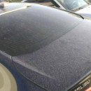 블루카워시 이미지