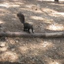 실크로드주유소 이미지