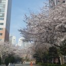 몬스타 개러지 이미지