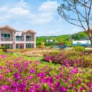 파주 모리CAFE펜션 이미지