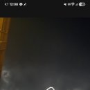 스테이더담 도율 이미지