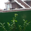 세주농장 이미지