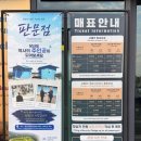 파주 가볼만한 곳 임진각 평화누리 공원, 애견동반가능? 주말 산책 후기