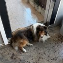 보문로2(남) 이미지