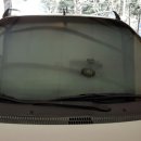 프로브모터스 이미지