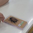 여주곤충박물관 이미지