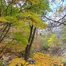 평창회수산