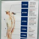 바른체형뷰티샵