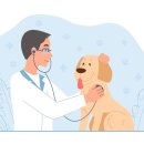 파크동물의료센터 이미지