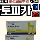 동암프라자 약국 이미지