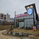 [청주 오송] 벚꽃 양갱이 있는 오송호수공원카페, 카페 피치