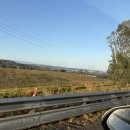 오팔농장 | 🇦🇺D+152 | 호주워홀 중간점검! 막차타고 호주 왔는데 5개월만에 세컨비자 따는 팁 대방출, 육공장 후기