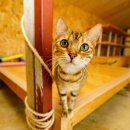 여주-1126 이미지