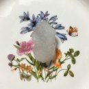 샘아쿠아라인 | 일본 월간 1월호