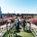 화성센트럴파크 도서관 이미지