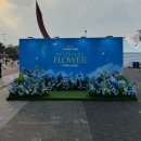 몇천 번이라도 같은 길을 걸어가리 written by FLOWER 앵콜콘 후기