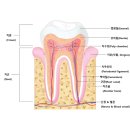 파리스동물병원 이미지