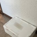 올라 경북 :: 경북 친환경농산물 꾸러미/ 유기농, 무농약 건강한 먹거리 𖤐