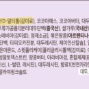 (주)초콜릿소프트 네이버블로그