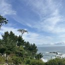 면역공방 이미지