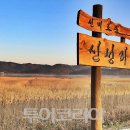 서천-8 이미지